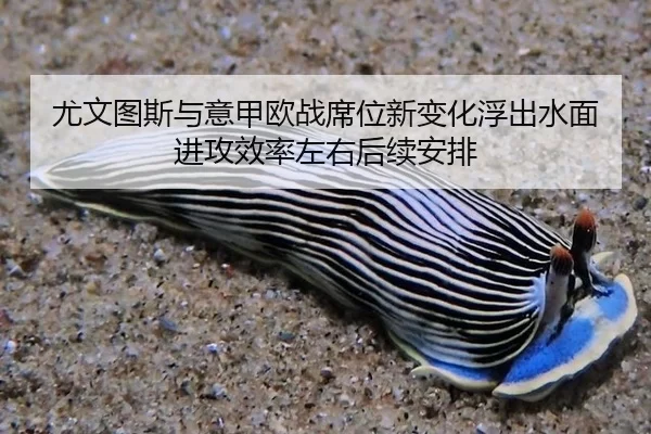 尤文图斯与意甲欧战席位新变化浮出水面 进攻效率左右后续安排